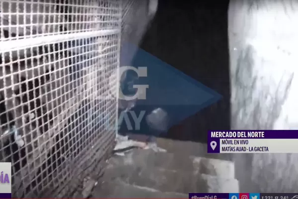 Así se encuentra el subsuelo del Mercado del Norte