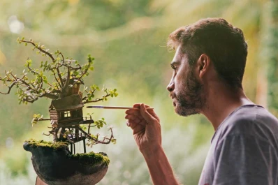Micromundos que se esconden en terrariosy bonsáis