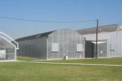 Está próxima a comenzar la venta de semillas