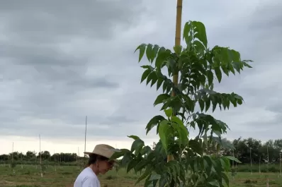 “Hace 25 años se empezó a visibilizar a la mujer rural”