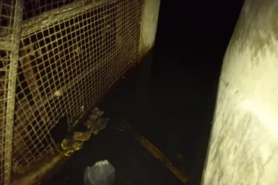 Bienvenidos a las catacumbas tucumanas