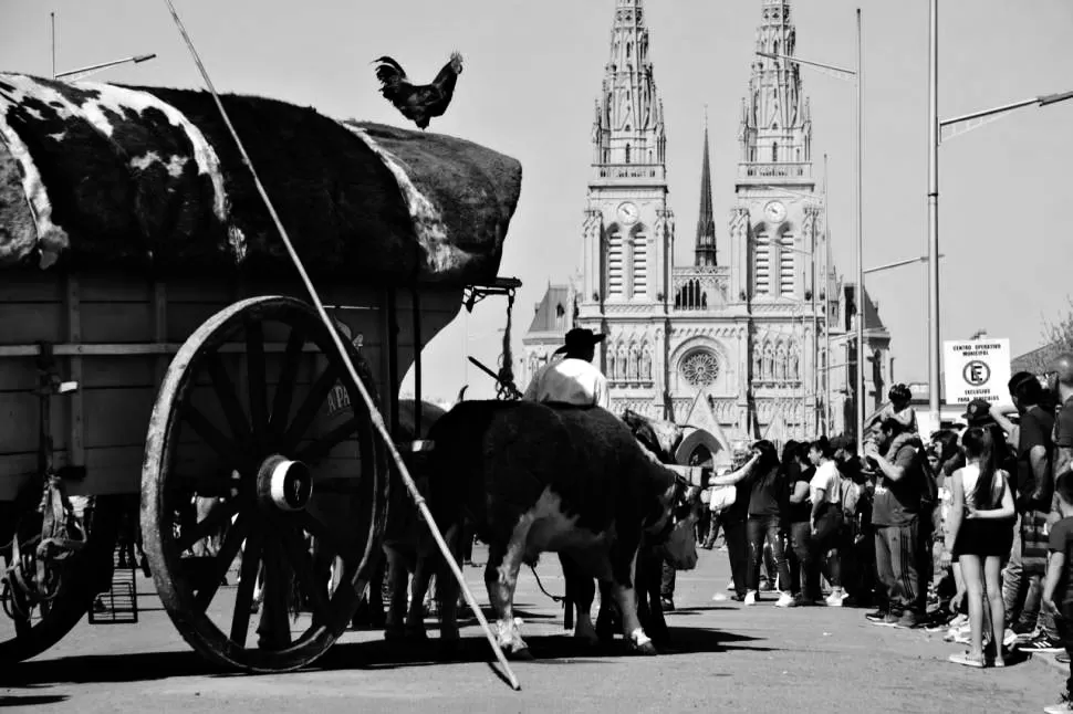 Una peregrinación fotográfica