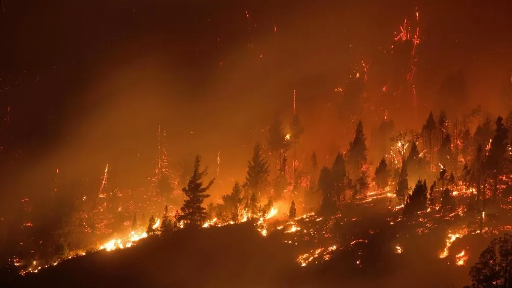 Incendios en la Patagonia: Nación enviará vacunas y pone a disposición un equipo de salud mental