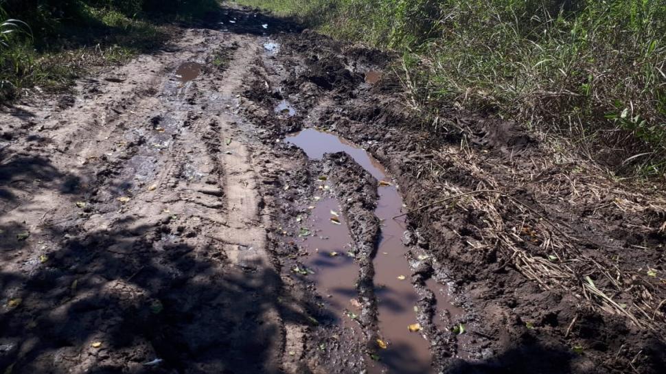  El intransitable camino del Timbó Viejo