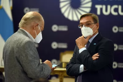 “Tenemos mucho para aportar en una nueva ley de biocombustibles”