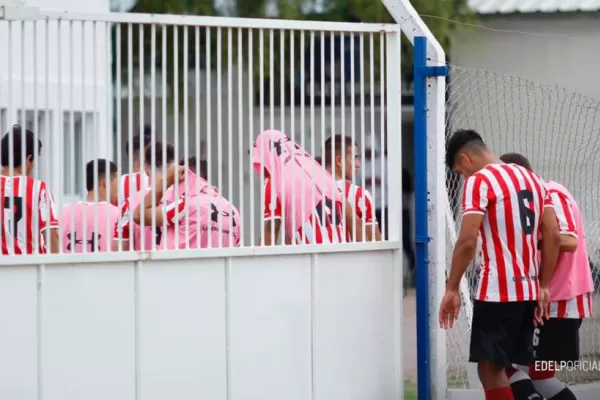 Las abejas pararon la pelota