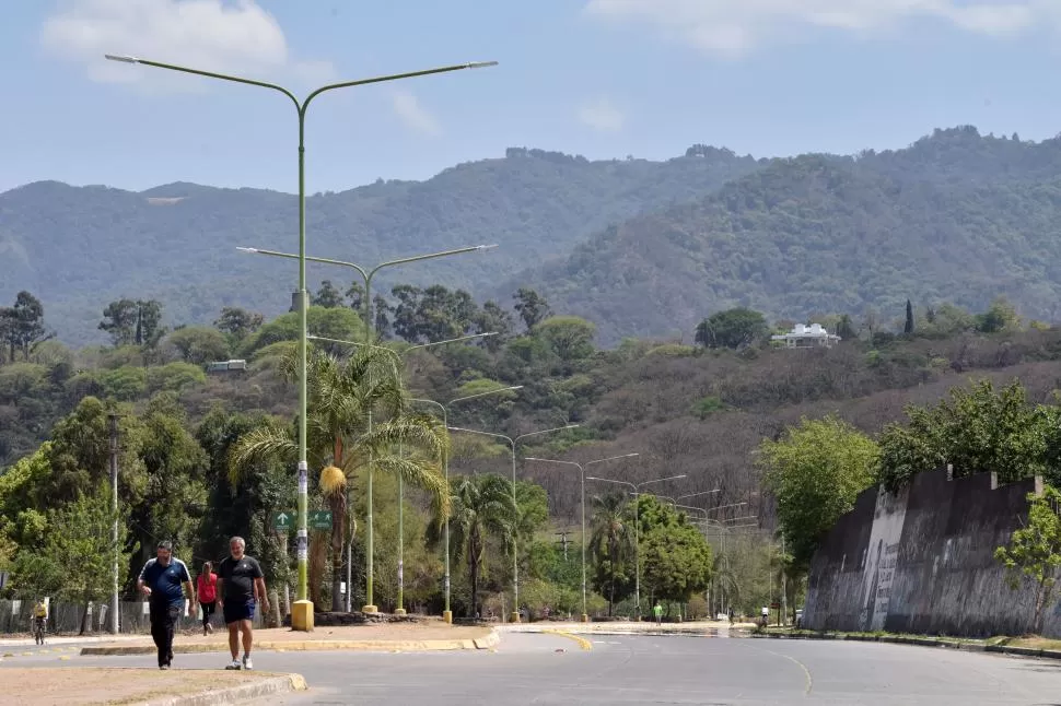 PROTEGER. Los plantines serán sembrados en tramos sín arboles para dar sombra, en la avenida Perón. la gaceta / foto de Inés Quinteros Orio