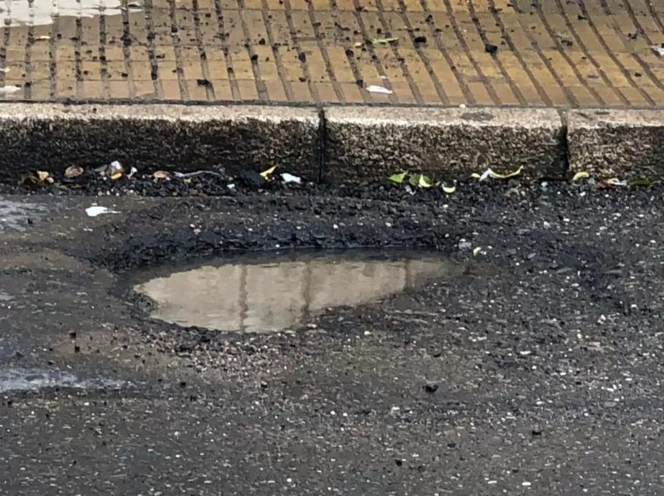  Bache en Monteagudo al 100