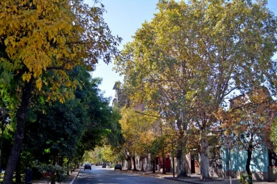 Llegó el otoño, tiempo de prepararse para rebrotar