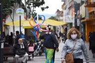 Carla Vizzotti anticipó que podrían restringir la circulación por franjas horarias