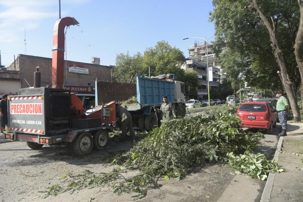 REDUCCIÓN. Triturando, el residuo verde se reduce al 10% en volumen. 