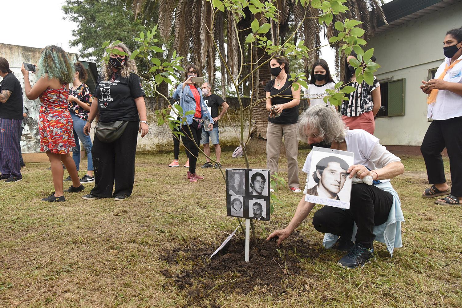 POR LA MEMORIA. Miles de árboles se plantaron en Tucumán ayer. 