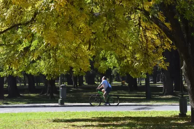 A días de la inauguración, robaron cables de la nueva iluminación del parque 9 de Julio