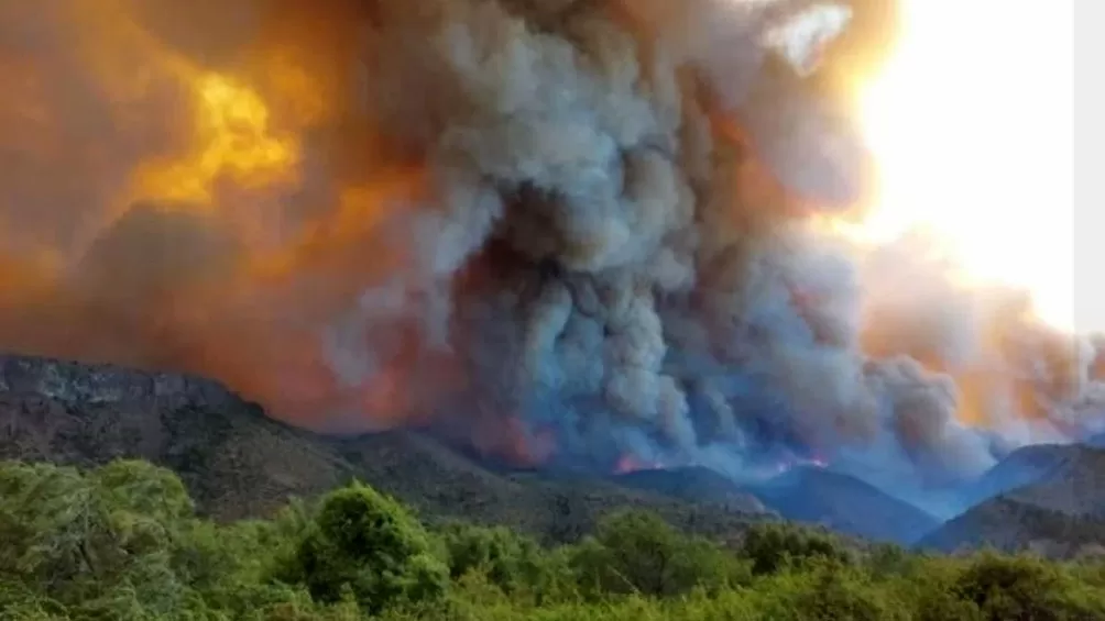 Incendio forestal