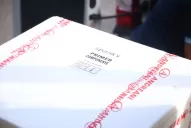 Tucumán recibió 13.200 dosis de Sputnik V: serán destinadas a mayores de 60 años