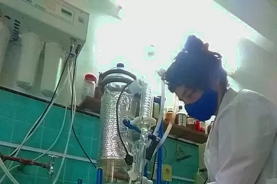 Comienzan a investigar el cannabis en Tucumán