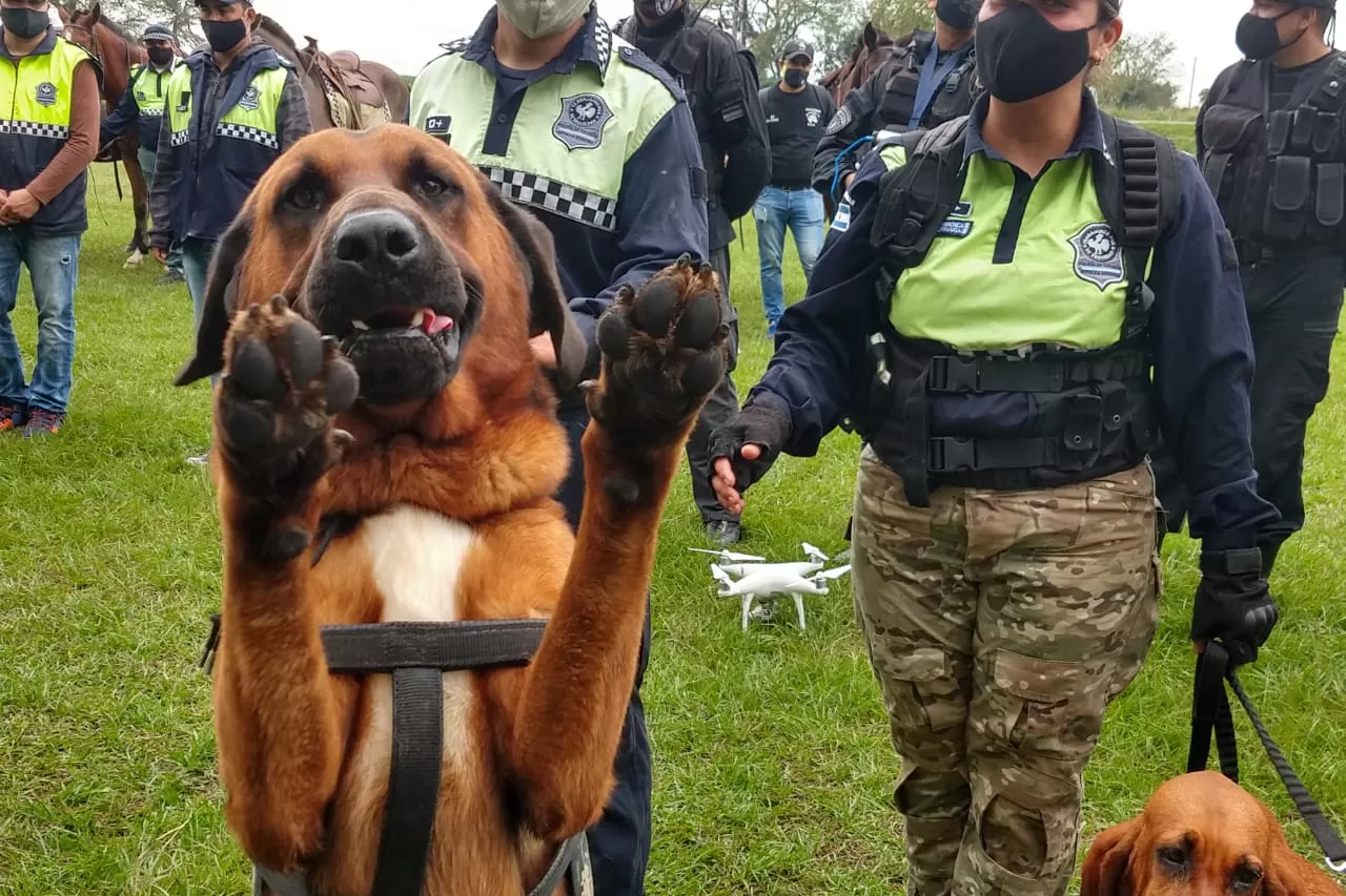 Wanda y Taca. Fotos de la policía de Tucumán 
