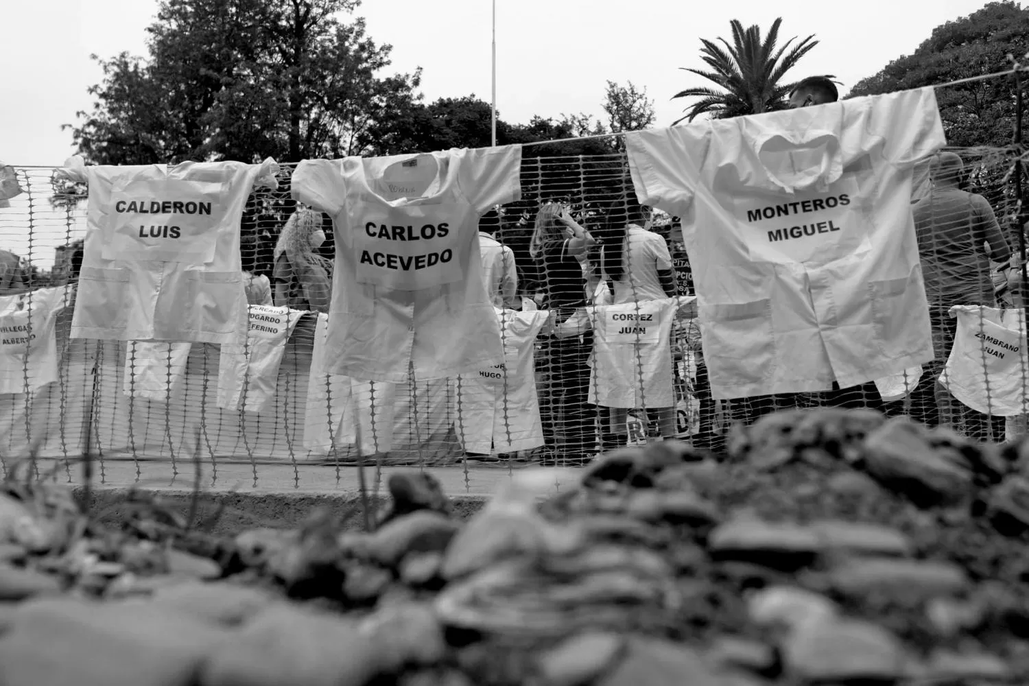 Las mejores imágenes del homenaje que realizaron los trabajadores de la Salud a sus colegas fallecidos