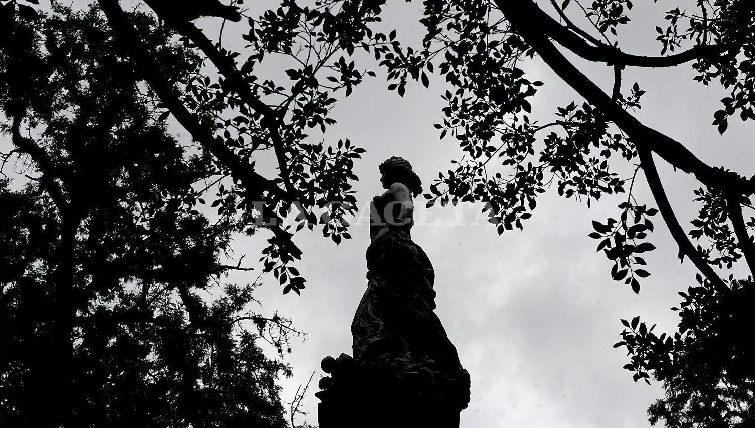 ARCHIVO LA GACETA