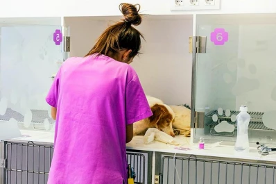 Yerba Buena: el lunes el tráiler veterinario prestará servicios en la Plaza Vieja