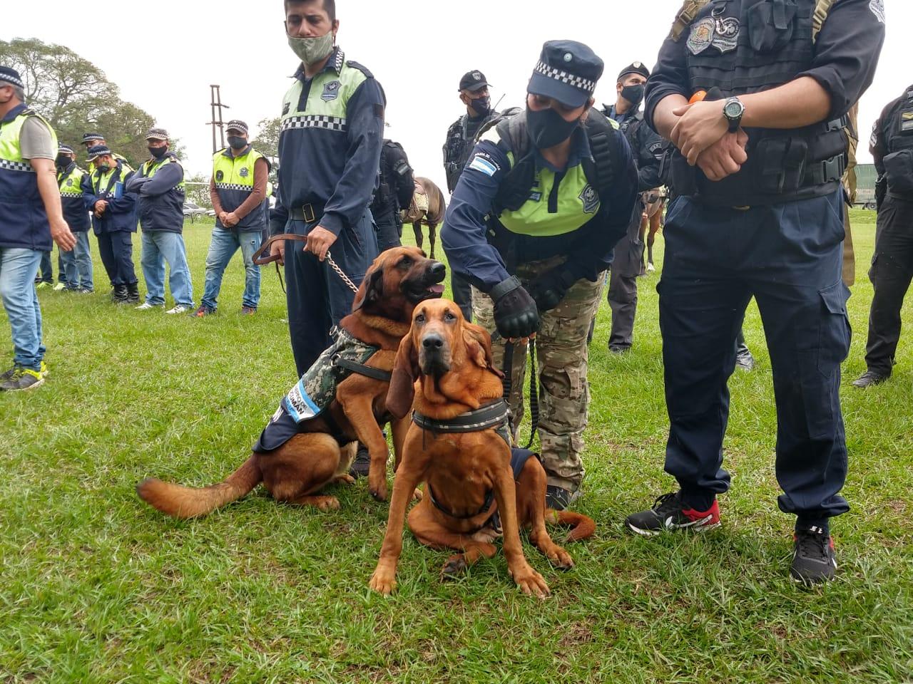 Wanda, la perra policía adiestrada para buscar personas, ahora sale con su hijo Taca