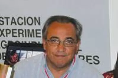 Consejos que el productor triguero debe atender al inicio de la campaña