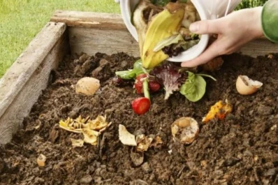 Agricultura y la ONU buscan promover la producción y consumo sostenible de alimentos