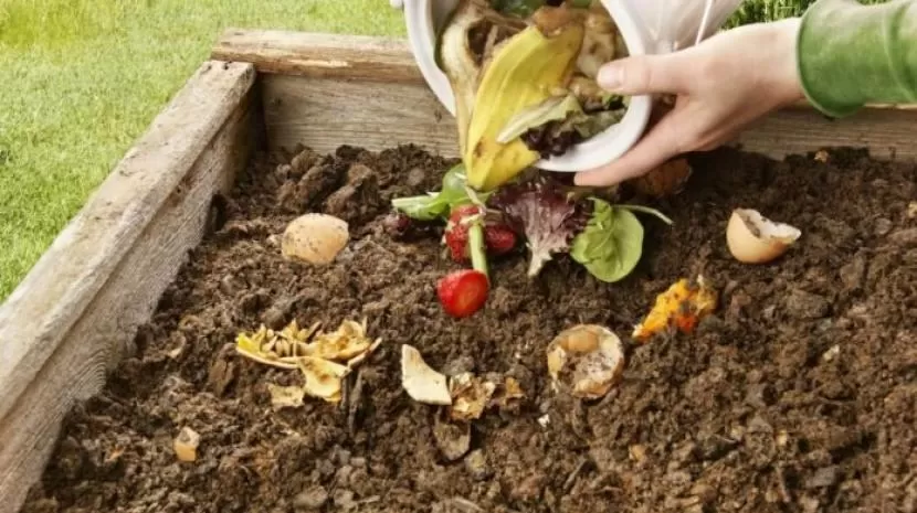 Agricultura y la ONU buscan promover la producción y consumo sostenible de alimentos