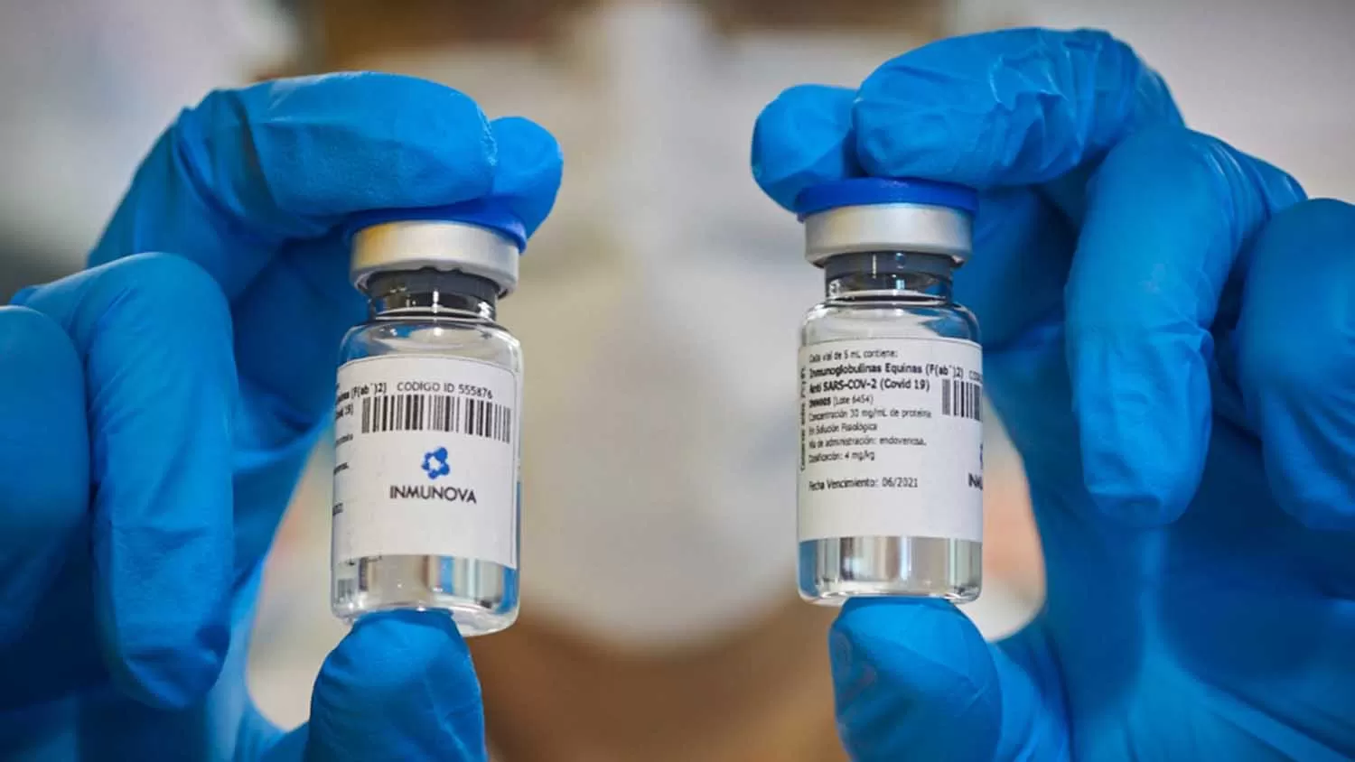 Suero equino: publican el estudio del Conicet