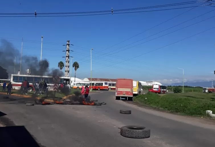 En la ruta, los cosecheros del limón piden una mejora en el pago por el traslado de la fruta