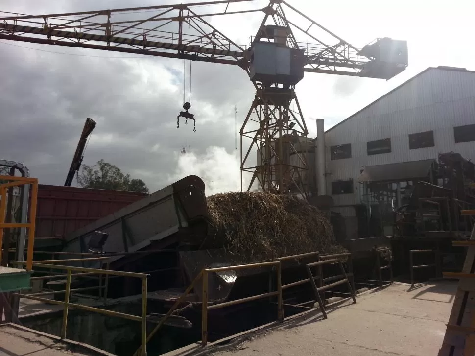 INDUSTRIA MADRE. La actividad azucarera sostuvo parte de la economía local, la menos afectada en la región NOA.  