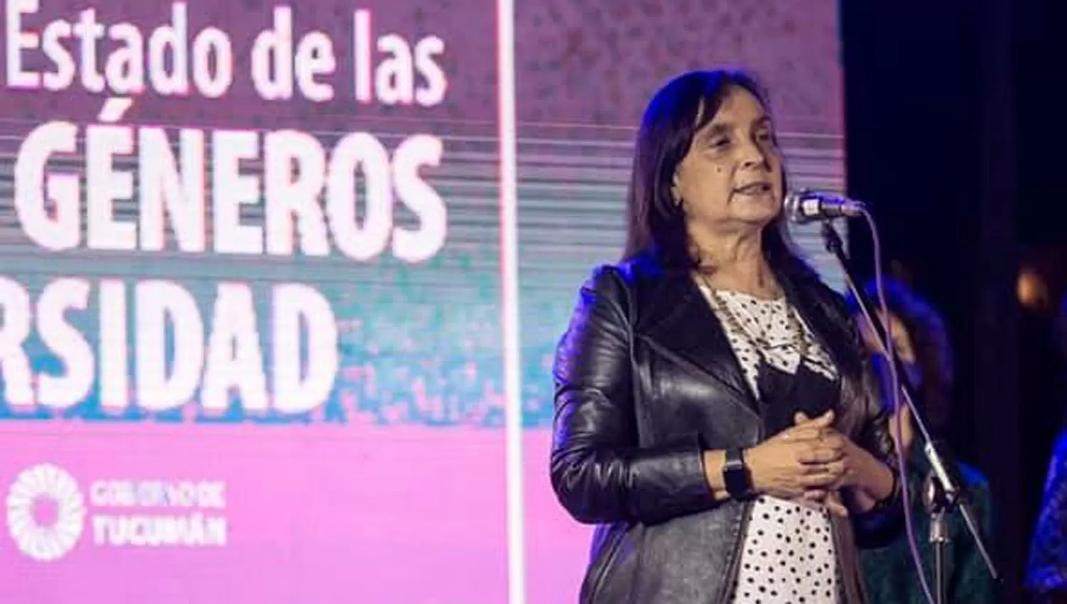 JUNTO AL GOBIERNO. María del Carmen Carillo se desempeñó en la Secretaría de Estado de la Mujer hasta hace una semana.