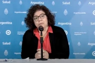 Vizzotti analiza ante la prensa la evolución de la pandemia
