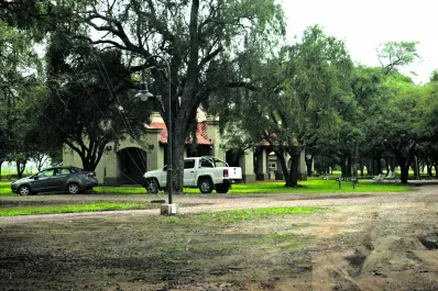 Los campos de Alperovich: los 15 puntos del “abigeato del siglo”