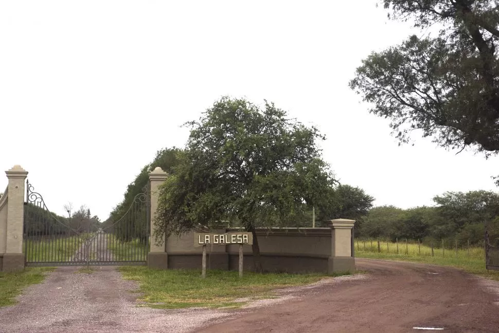 EN POZO HONDO, SANTIAGO. Alperovich resaltó que la hacienda secuestrada “engordó” en ese campo. 