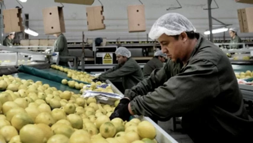 CRÉDITOS. El Banco Centroamericano de Integración Económica financiará PYME del sector agroalimentario.