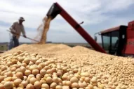 ¡Lluvia de dólares! Agroexportadores liquidaron más de U$S 3.500 millones en mayo