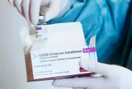 Cuál fue la explicación de AstraZeneca a Carla Vizzotti por la demora de las vacunas 