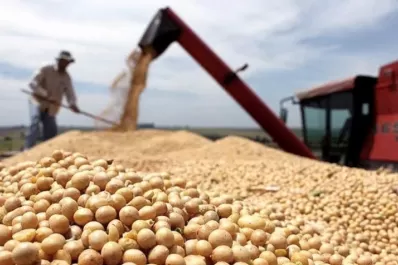 ¡Lluvia de dólares! Agroexportadores liquidaron más de U$S 3.500 millones en mayo