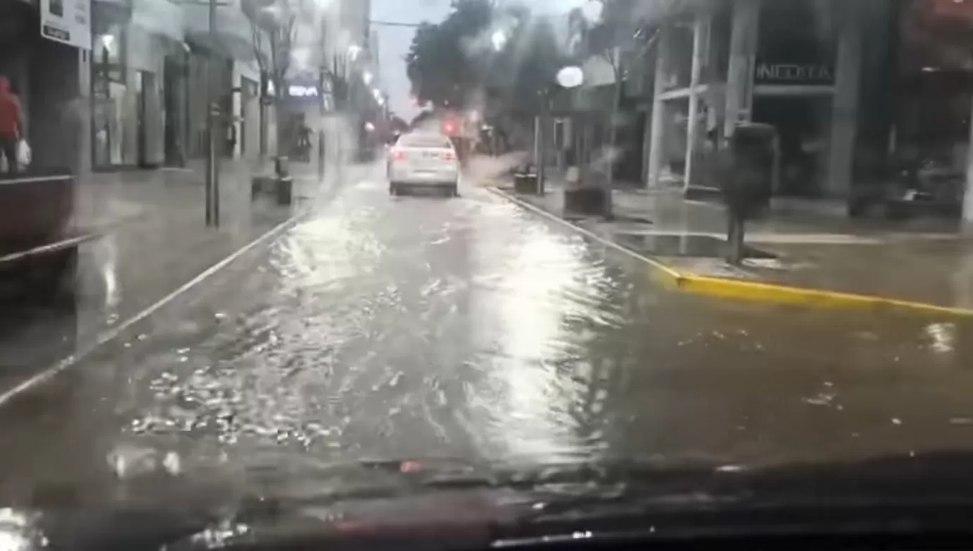 EN PRIMERA PERSONA. La escena que observaba el automovilista Luis Eduardo al transitar por San Martín al 700. (Captura de video)