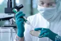 Un nuevo estudio calcula cuánto duran los anticuerpos en quienes superaron el coronavirus