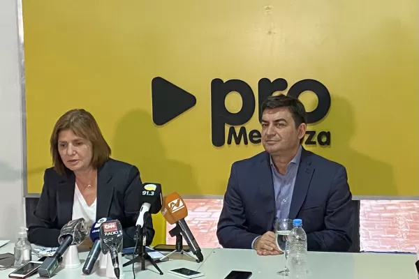 Biocombustibles: el diputado De Marchi criticó el proyecto de ley oficialista