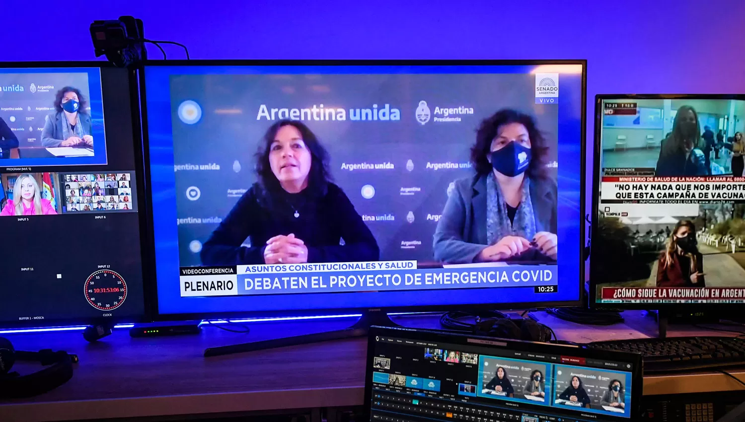 EN PLENARIO. Vizzotti e Ibarra mantuvieron un encuentro virtual con los integrantes de las comisiones del Senado.