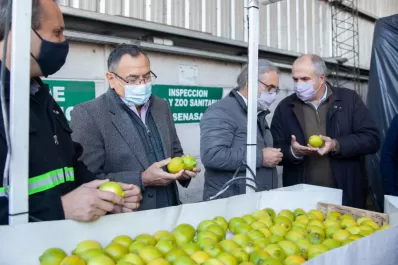 El primer cargamento de limones sale hacia Países Bajos