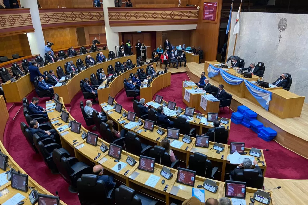 EN LA LEGISLATURA. Lichtmajer, en su interpelación. Foto de Twitter @raulcpellegrini