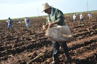 Consejos del INTA para una zafra  cuidada de covid-19