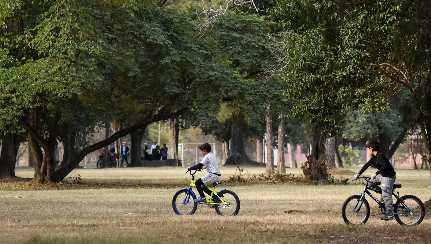 PARA CORRER Y PEDALEAR. El parque 9 de Julio es uno de los imanes durante los fines de semana para practicar deportes.