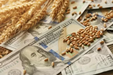 La búsqueda del tesoro: ¿Dónde están los dólares del agro?