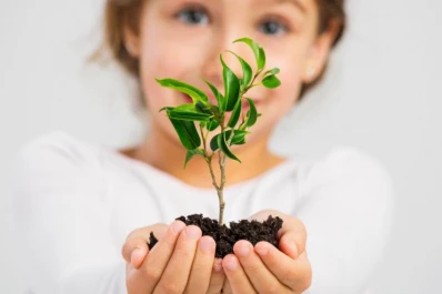 Cambio climático: claves para una educación ambiental