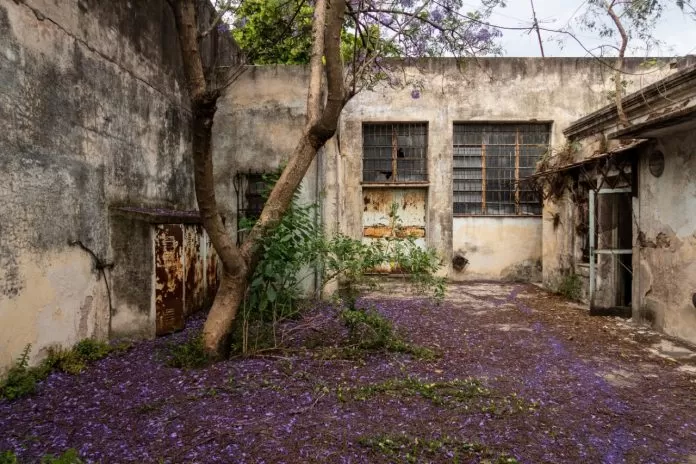 PATRIMONIO. La casa de Walsh estaba deshabitada desde hace tiempo. 